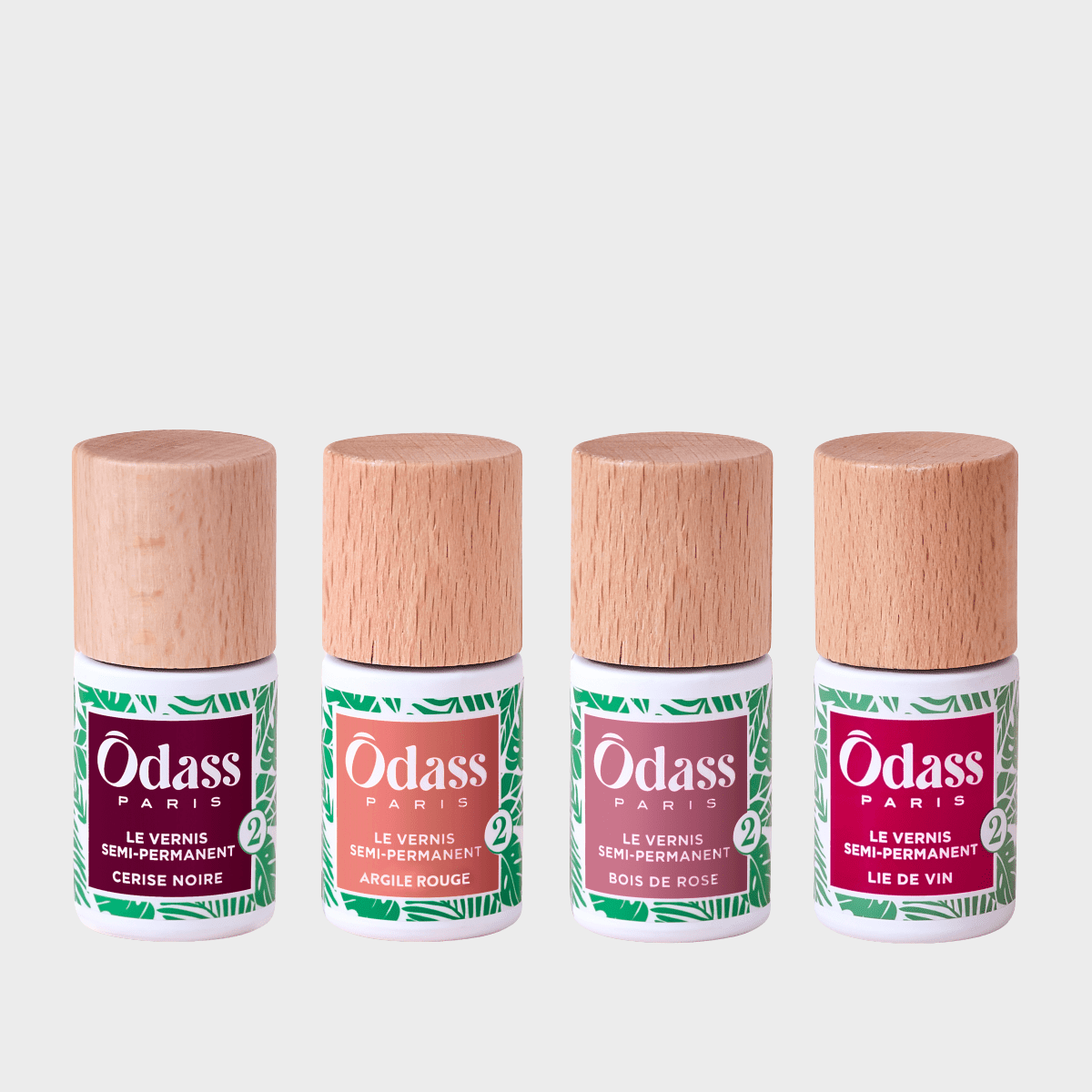 Le QUATUOR Hiver 2025