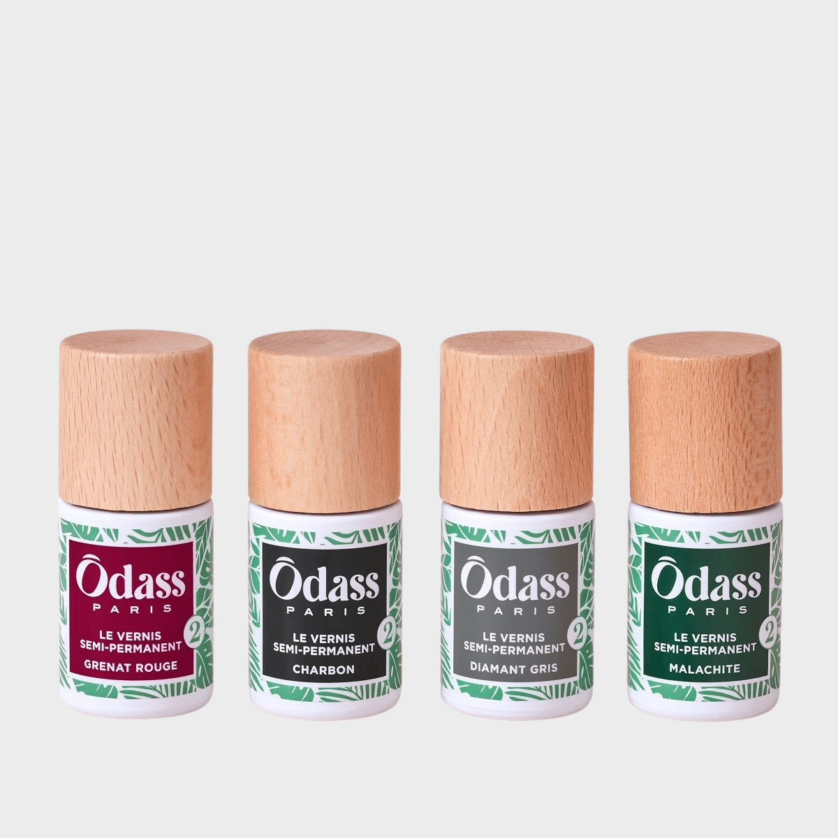 Le QUATUOR Hiver 2024