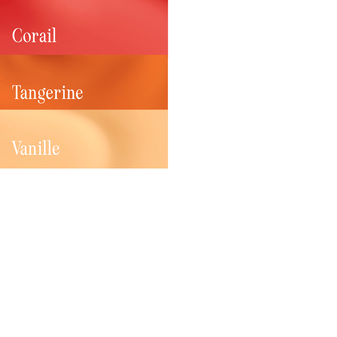 Kit de l’Ôdassieuse - 3 Teintes au choix