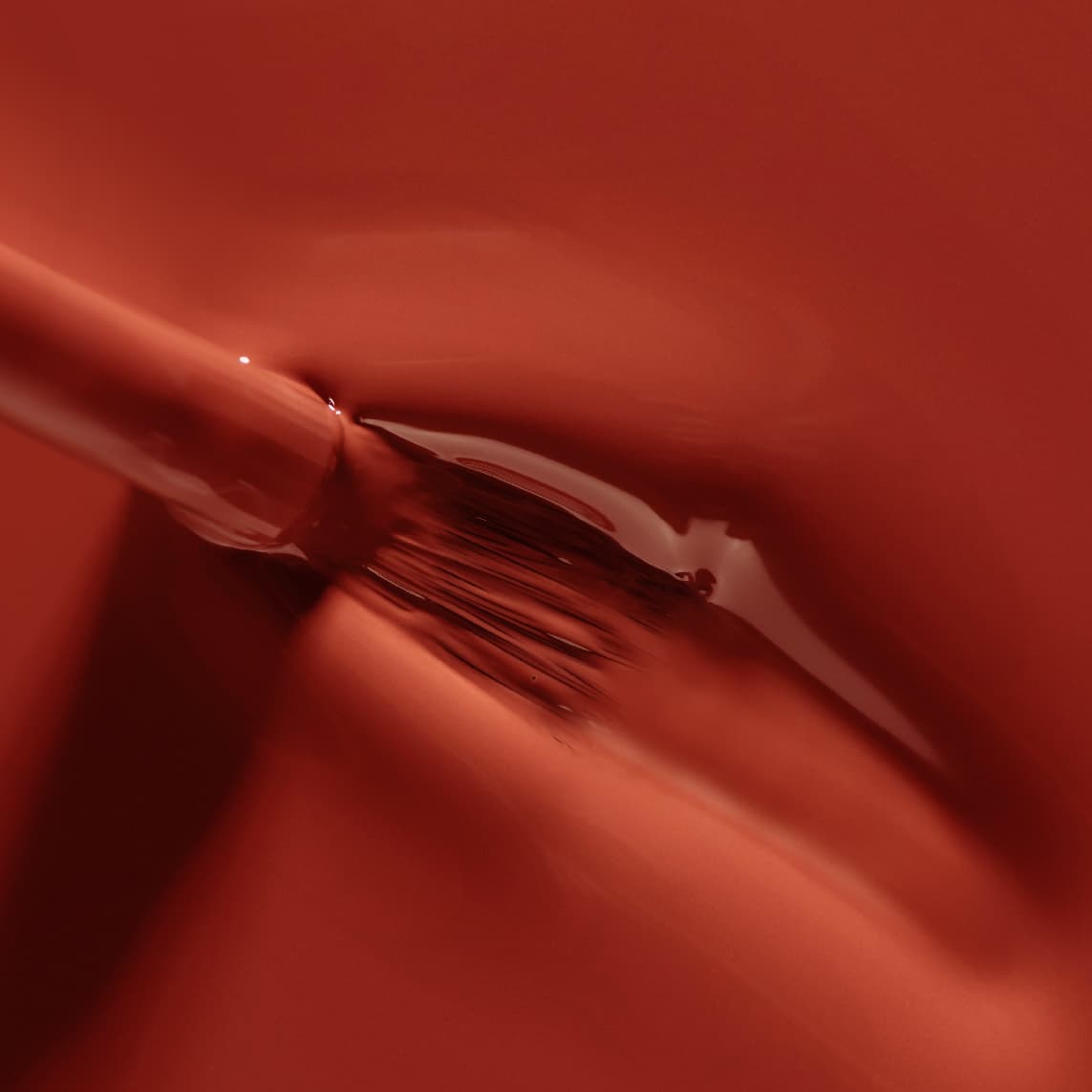 Le QUATUOR Automne 2024