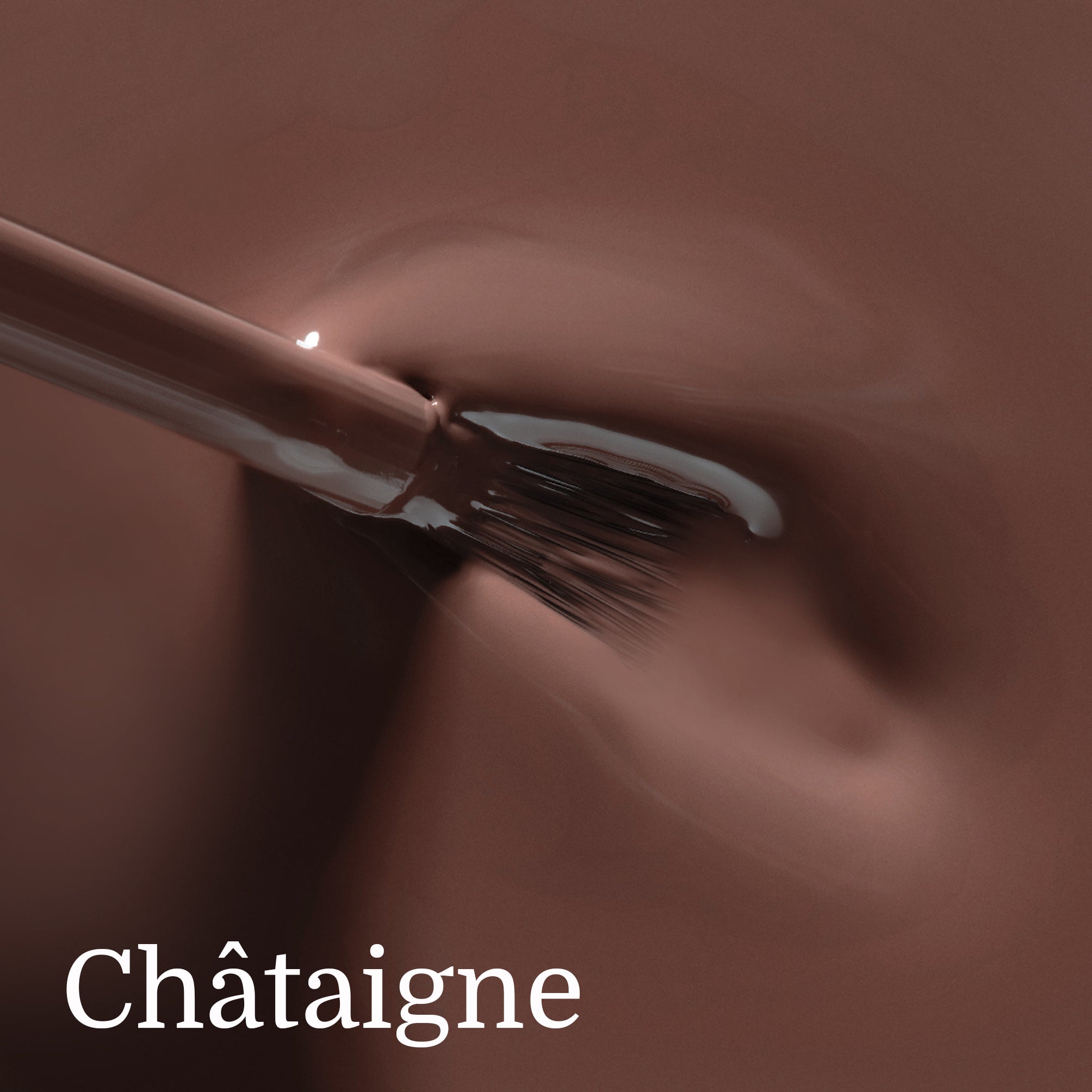 texture chataigne