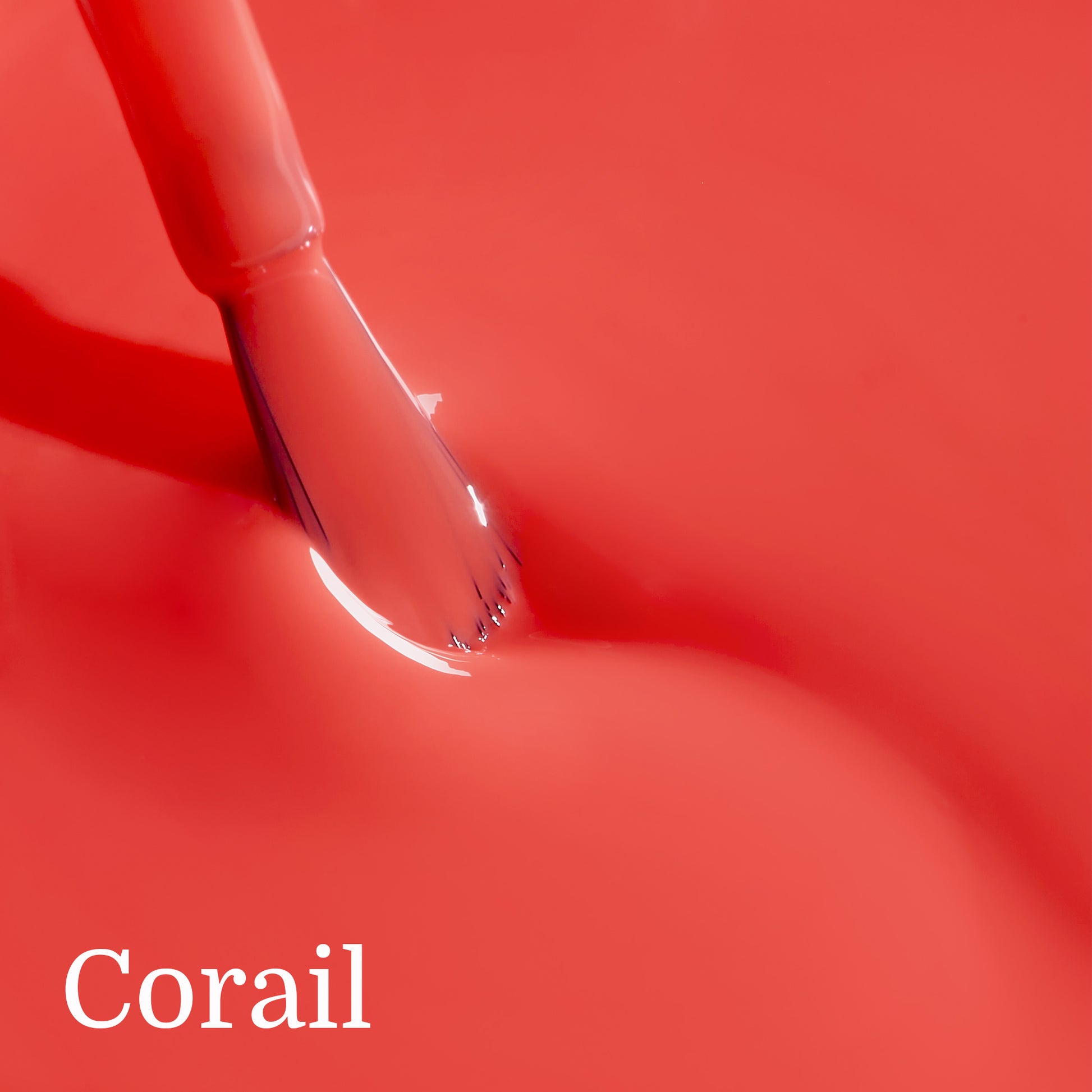 texture corail