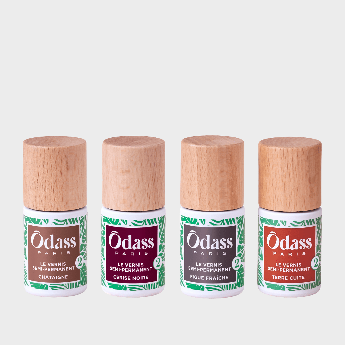 Le QUATUOR Automne 2024