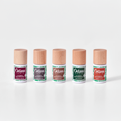 Le Quintuor « sur mesure »