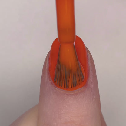 Le QUATUOR : Tangerine - Lilas Mauve - Framboise - Vert Amande